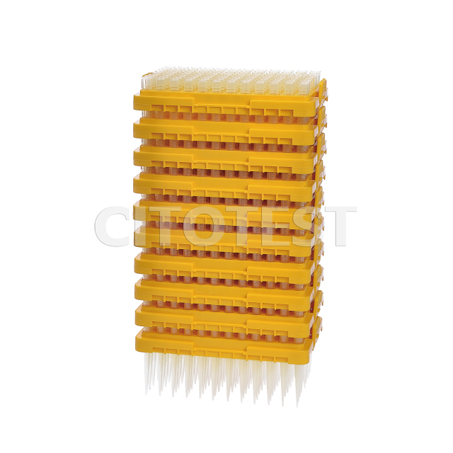 Pipette Tip 300μL