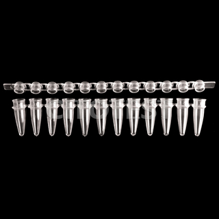 0.2 ml PCR Tubes in Strips