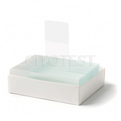 Single Frosted Microscope Slides